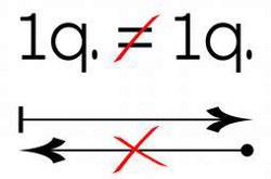 1q